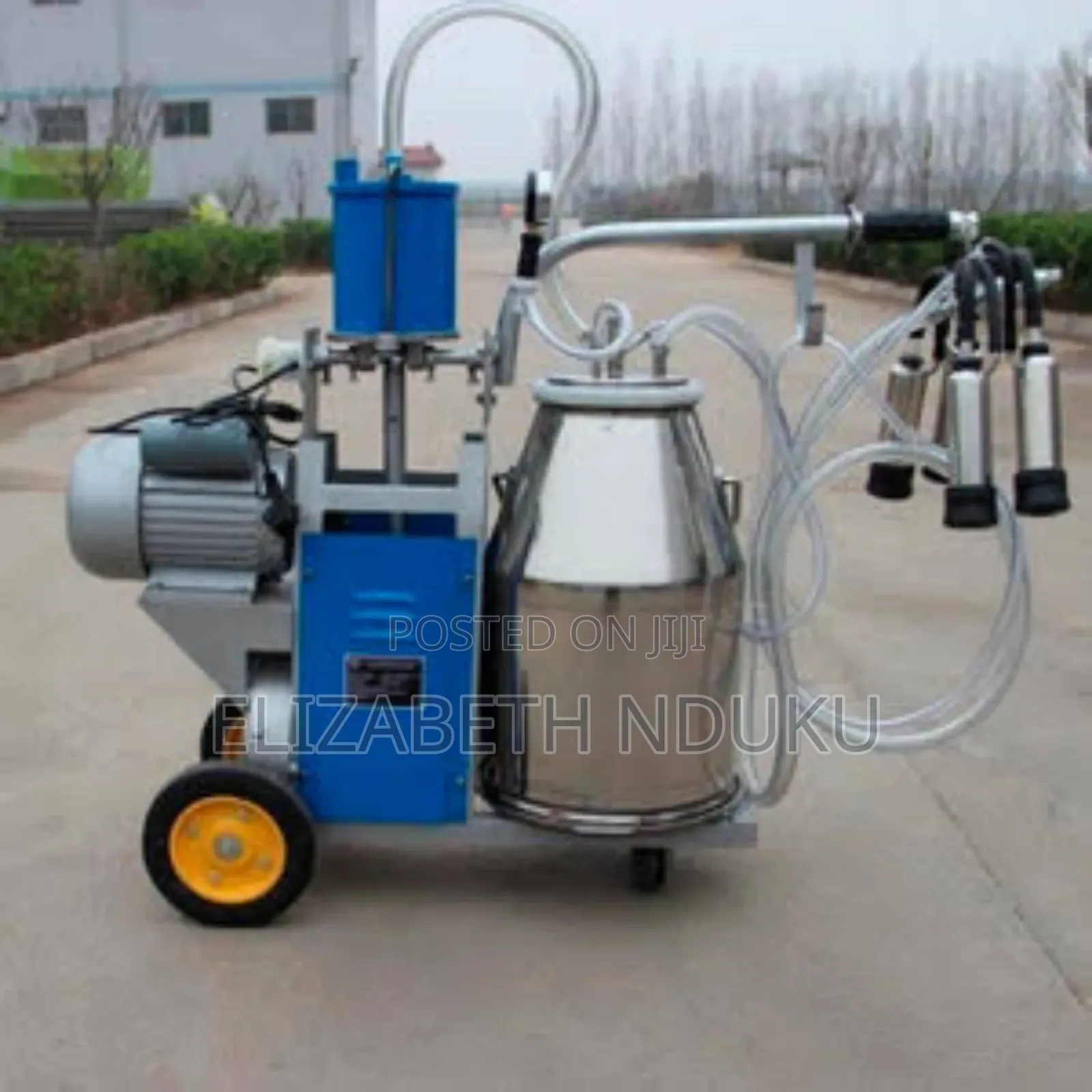 Milking Machine (Easy Mobility)