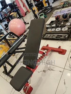 Strong Steel Frame Gym Bench | Heavy Duty Design