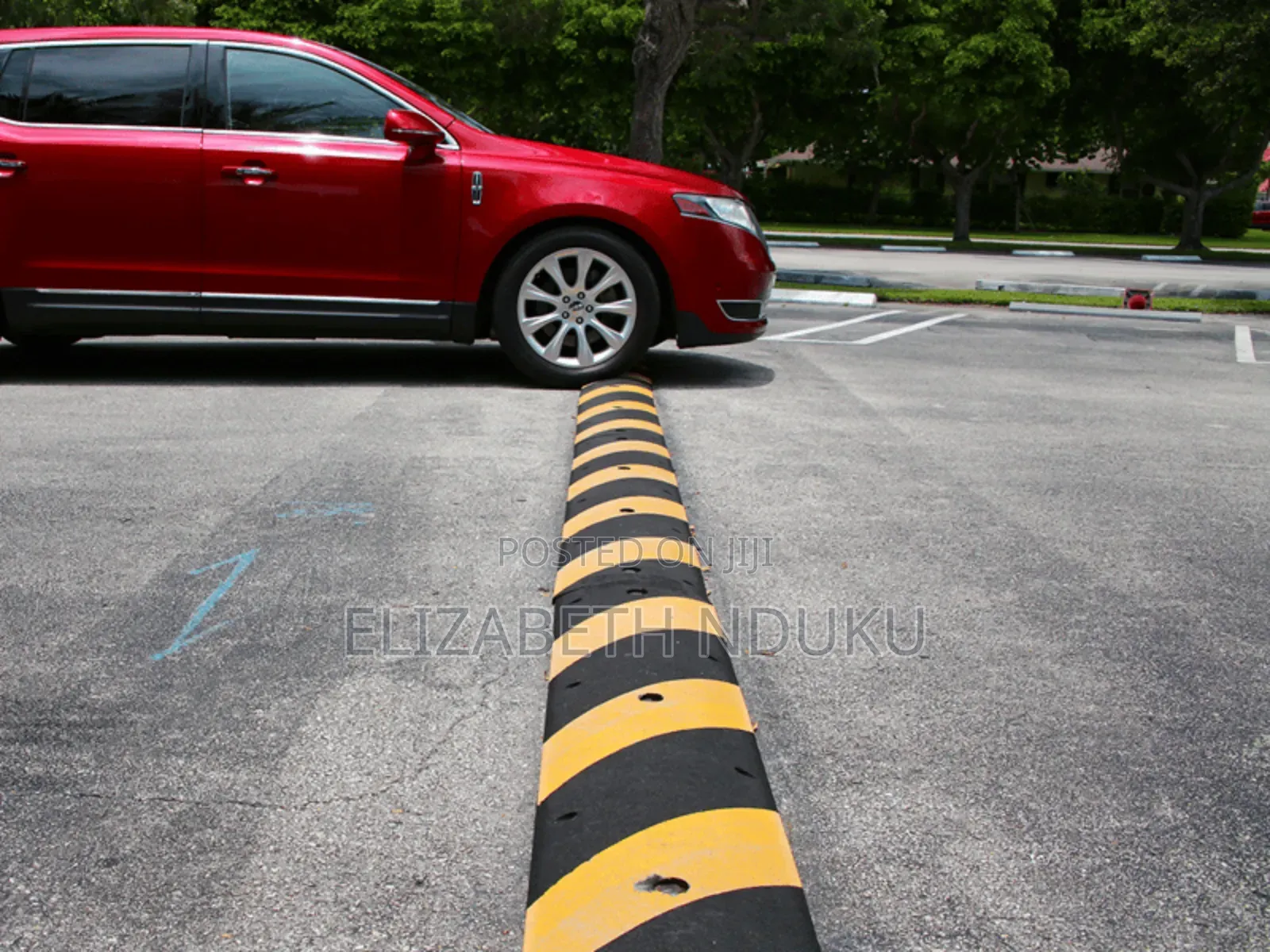 Marked Speed Bump