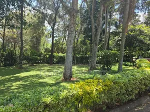 6bdrm Townhouse / Terrace in Karen for rent