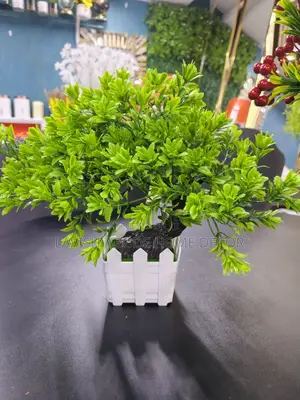 Bonsai Flowers