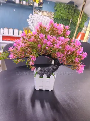 Bonsai Flowers
