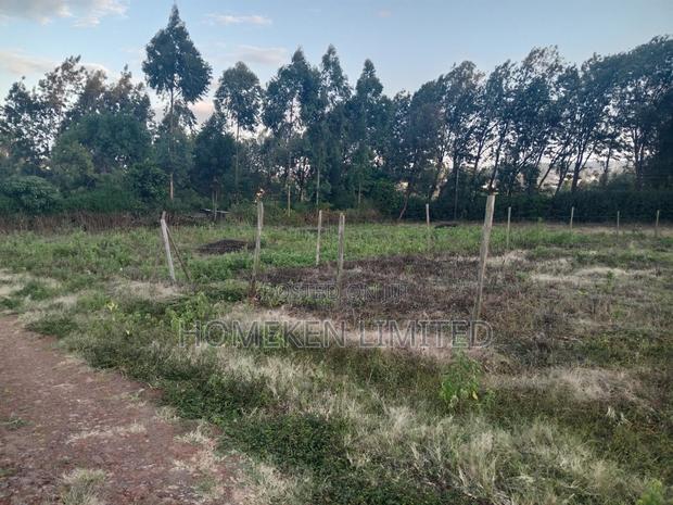 Quarter Acre for Sale in Kibiku, Ngong - thumbnail 5