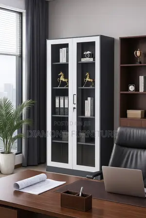 2-Door Full Glass Metallic Office Filing Cabinet
