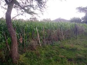 Land for Sale at Ngata, Nakuru