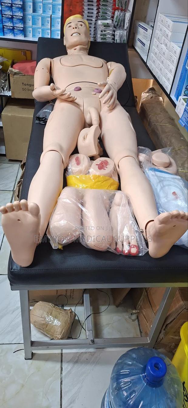Manikin With Male and Female Parts