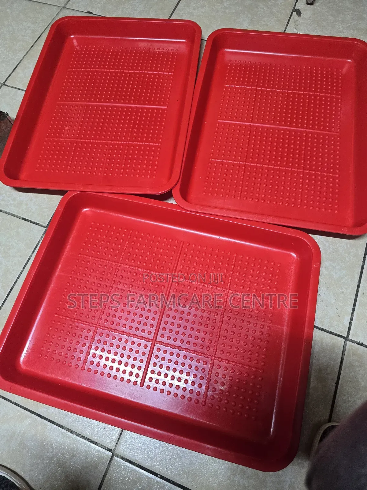 Malaysian Made Day Old Chick Trays