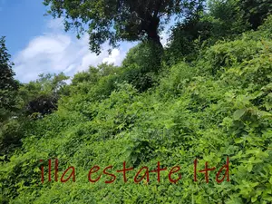 Developers Dream Plots