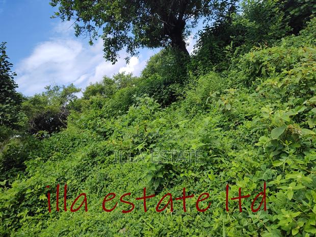 Developers Dream Plots - thumbnail 3