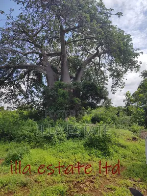 Developers Dream Plots