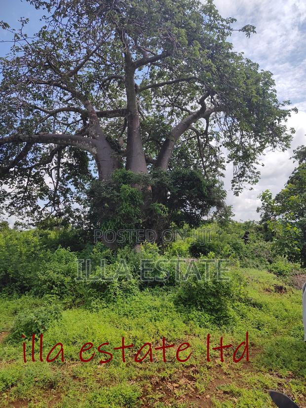 Developers Dream Plots - thumbnail 4