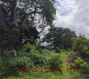 Developers Dream Plots