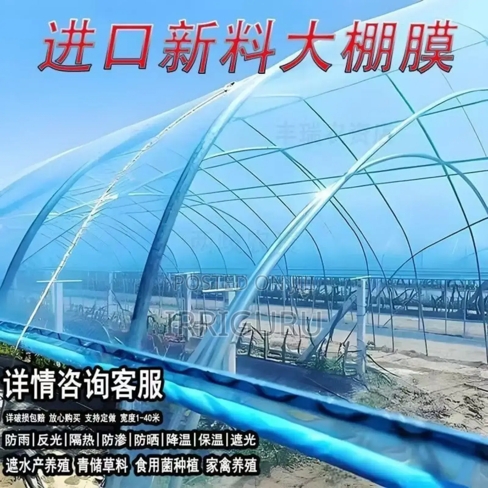 Greenhouse Structure