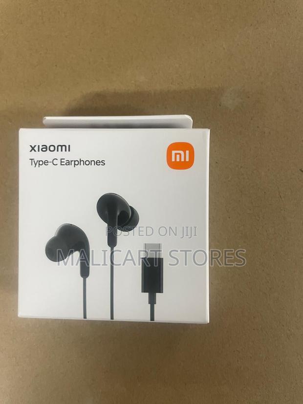 Xiaomi Type-C Earphones - main view