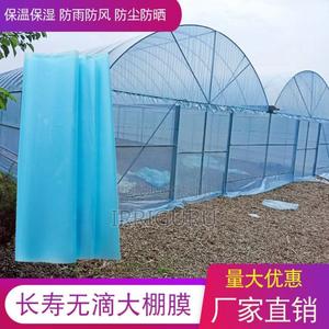 Polythene Cover - main view