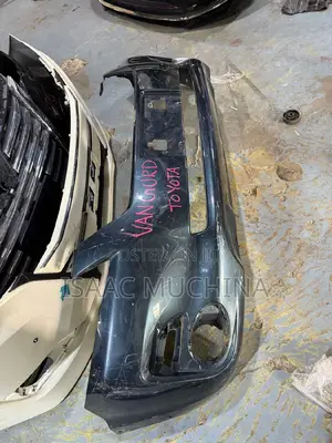 Vanguard 2008 Bumper