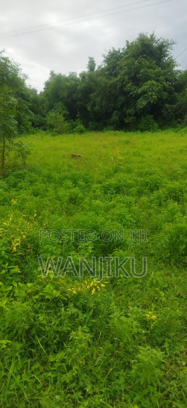 Coastal Dream - main view