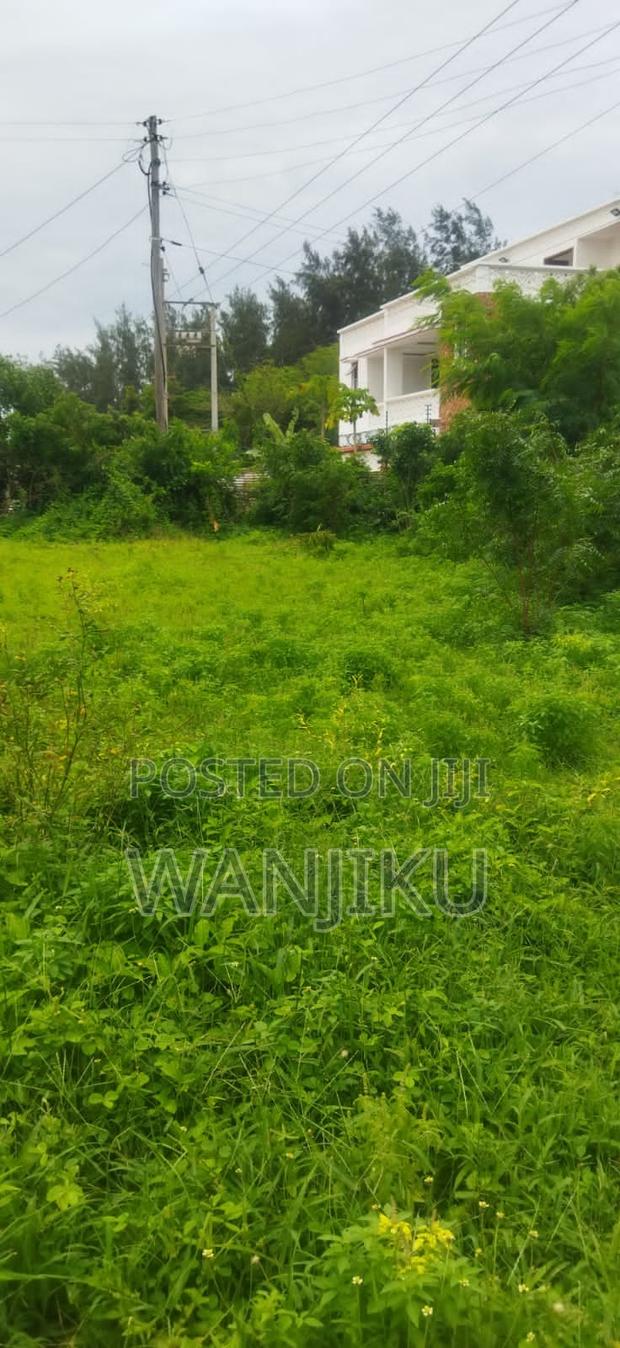 Coastal Dream - thumbnail 2