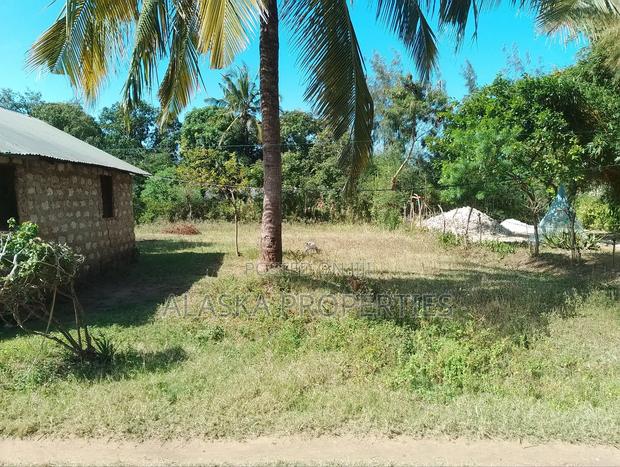 60by100 Prime Plot for Sale in Utange Zimilati - thumbnail 10