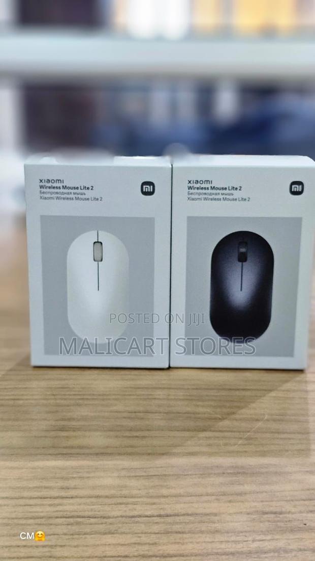 Xiaomi Wireless Mouse Lite 2 - main view