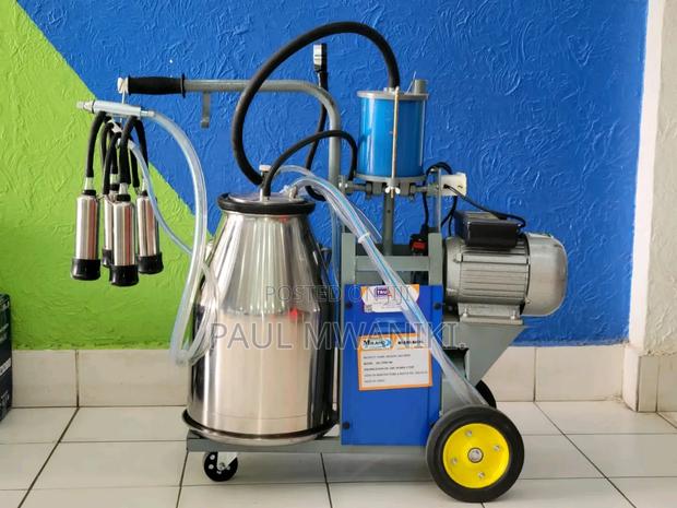 Milano Italy Single Bucket Milking Machine