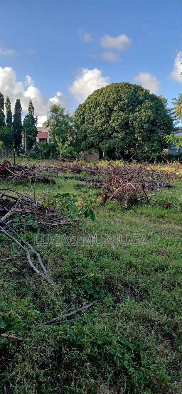 1/4 Acre Plots for Sale - thumbnail 2