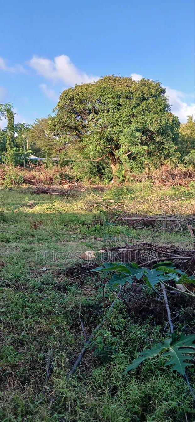 1/4 Acre Plots for Sale - thumbnail 6