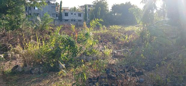 1/4 Acre Plots for Sale - thumbnail 7
