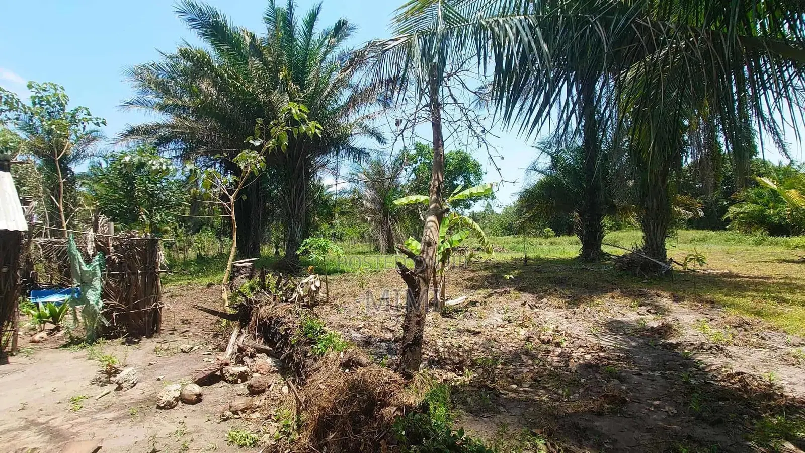 5 Acre Fertile Farm Mrima Not Far From Ramisi . Freehold