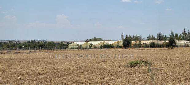 Kitengela Plains Phase 2 - thumbnail 4