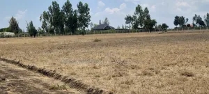 Kitengela Plains Phase 2