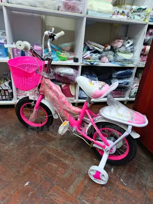 Girls Kids Bike With Basket Side Wheels