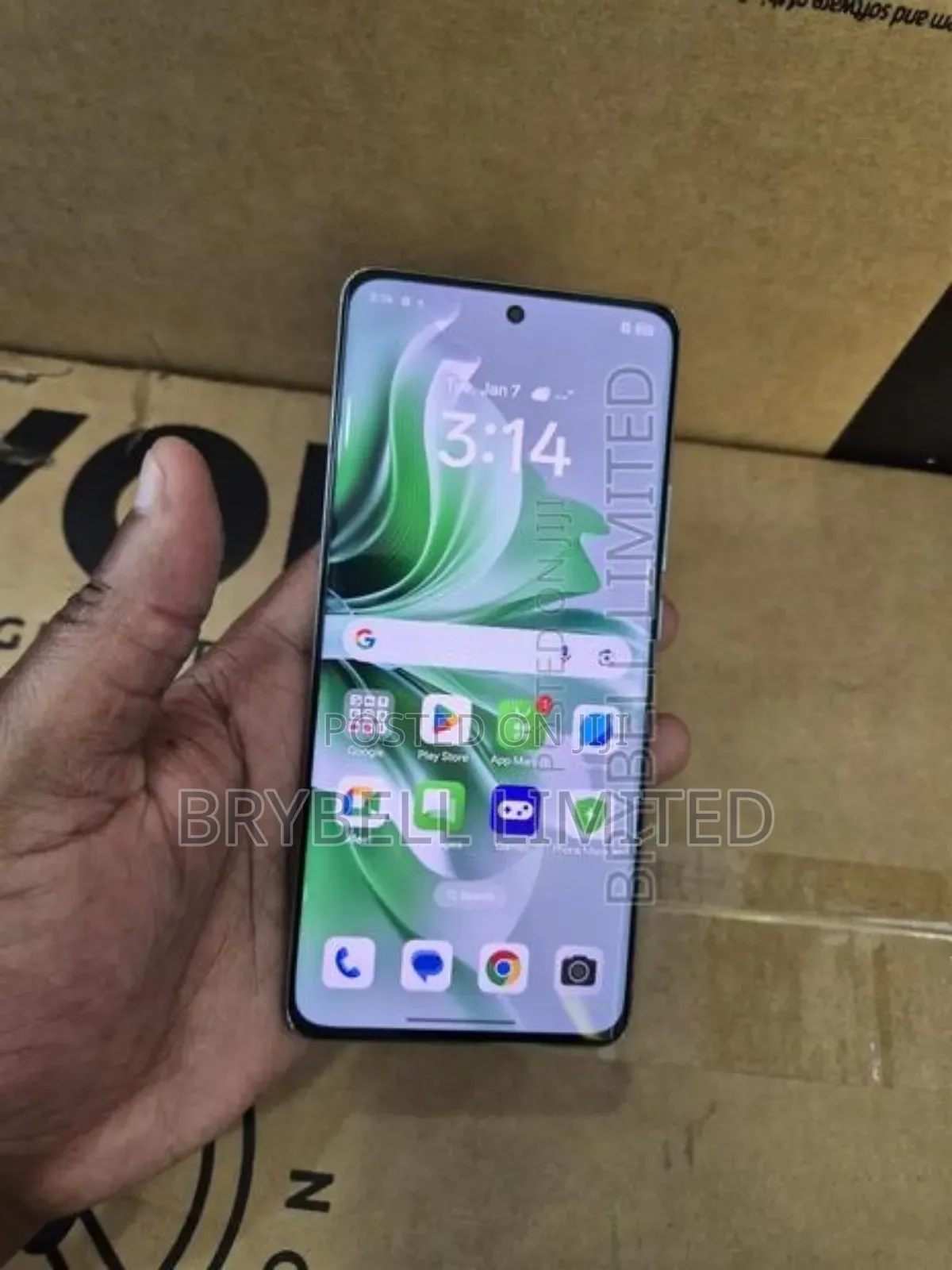 Oppo Reno11 5G 256 GB Green