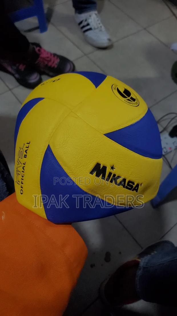 The Mikasa Volleyball Mva310