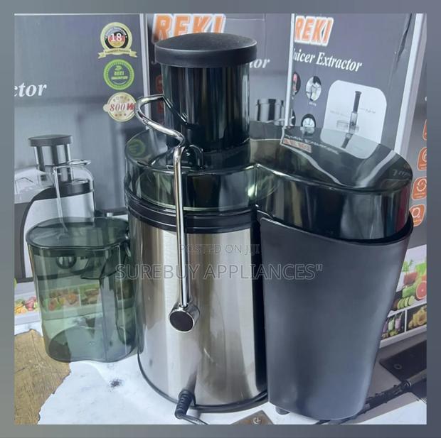 Reki Electric Juicer 800watts - main view