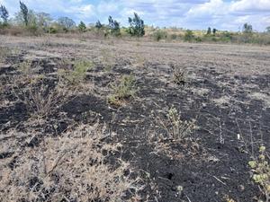 Selling 10 Acres of Land From Mwea,Karaba - thumbnail 2