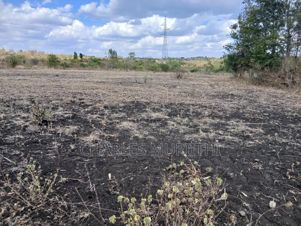 Selling 10 Acres of Land From Mwea,Karaba - thumbnail 4