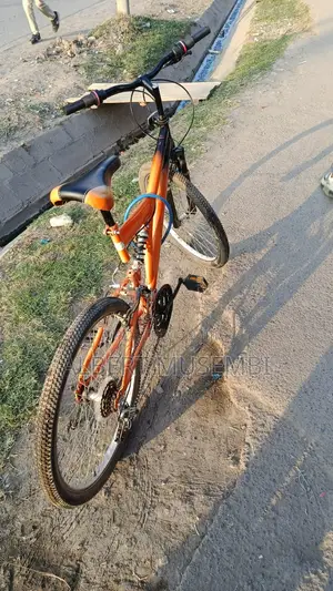 Mountain Bike 24"