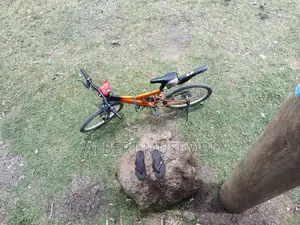 Mountain Bike 24"