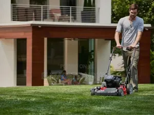 163cc 750ex Lawn Mower