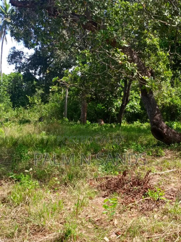 3/4 Acre on Sale in Galu Diani - thumbnail 4