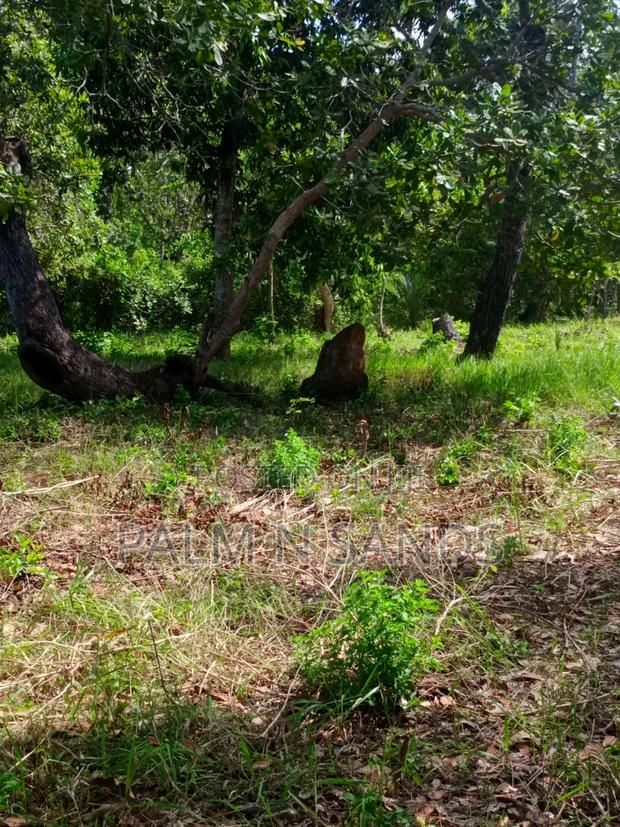 3/4 Acre on Sale in Galu Diani - thumbnail 6