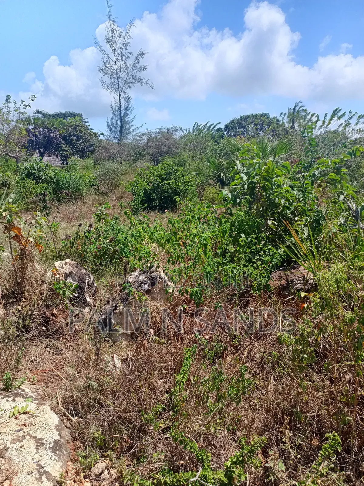 1 Acre in Galu Diani on Sale