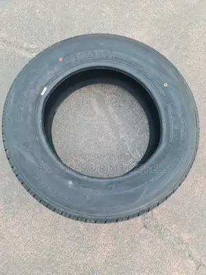 215/65 R16 Fortune.