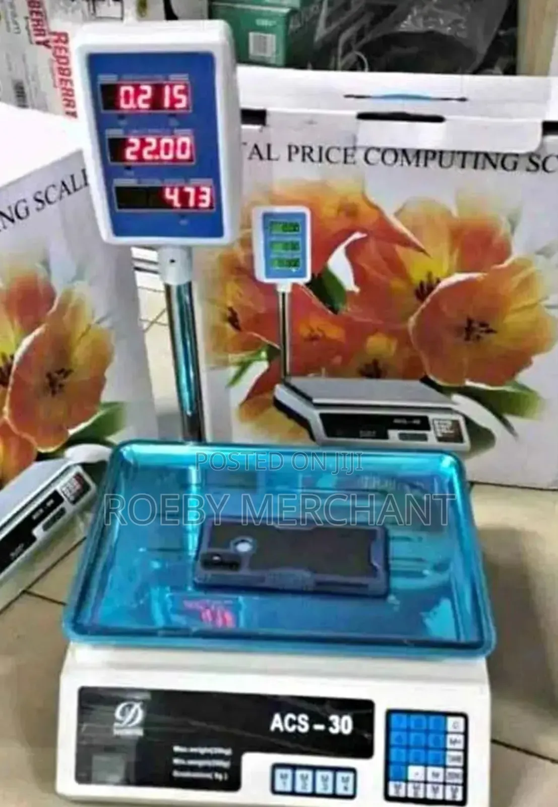 Portable Acs 30 Digital Weighing Scale/Acs Scale 30kgs