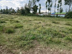 50 X 100 Residential Plot On Sale - thumbnail 2