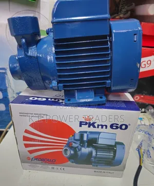 Pkm60 Pedrollo Booster Water Pump