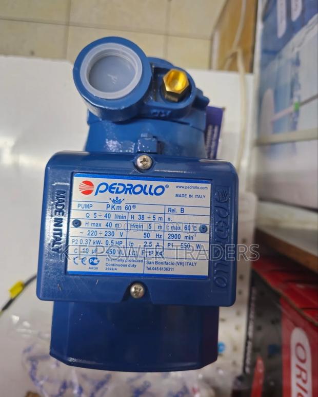 Pkm60 Pedrollo Booster Water Pump - thumbnail 2