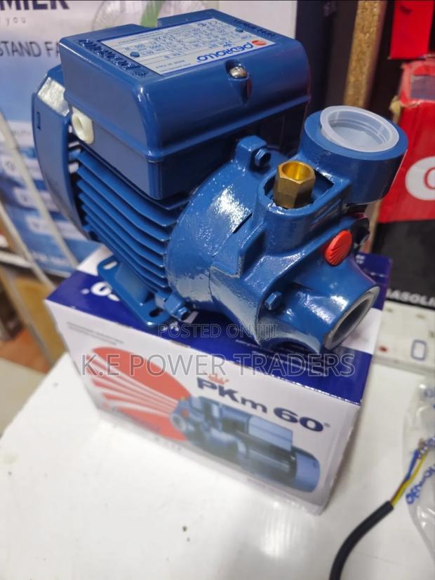 Pkm60 Pedrollo Booster Water Pump - thumbnail 3