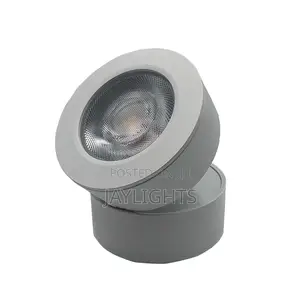 Ceiling Surface Mounted Led Cob Downlight Adjustable